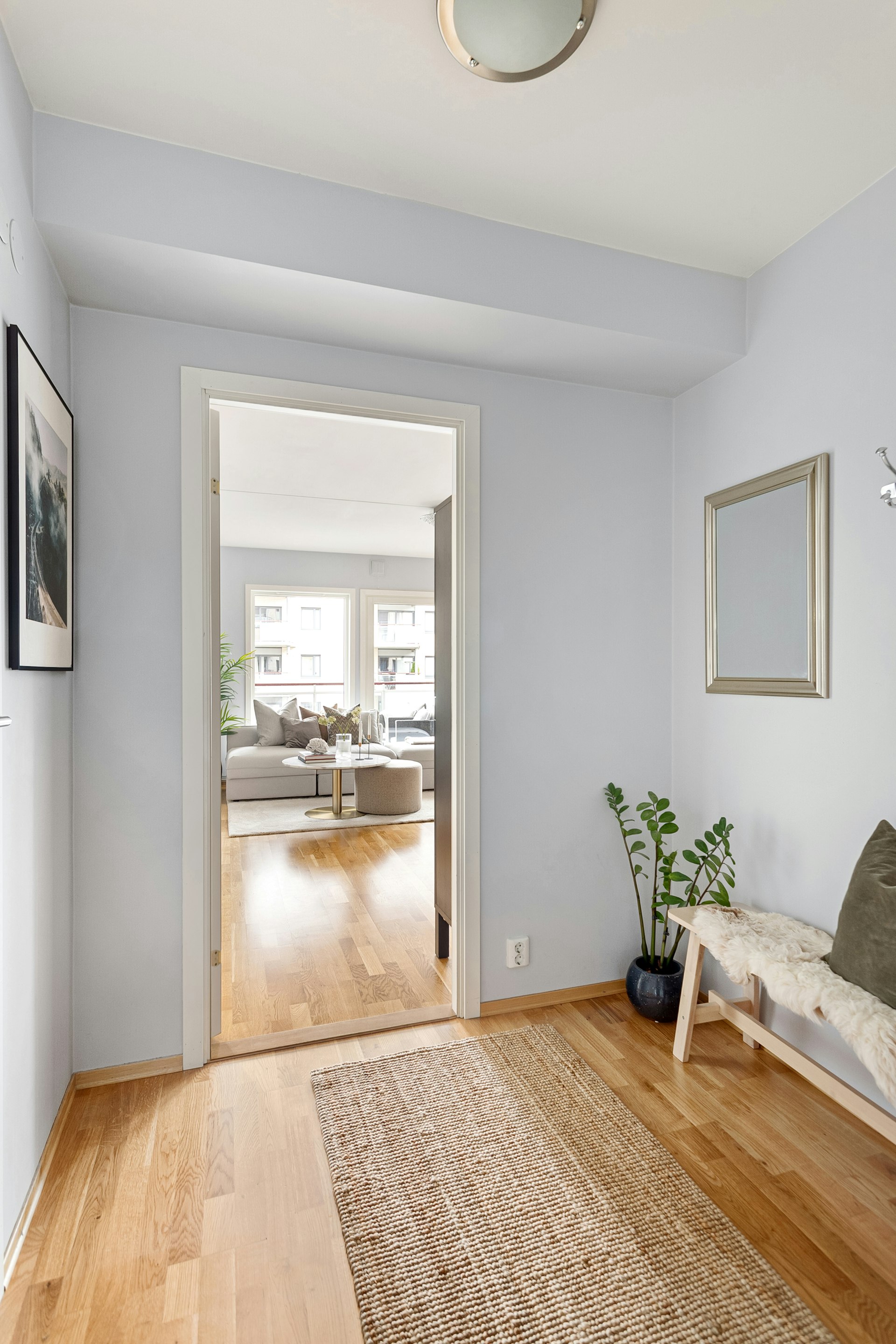 Light hardwood flooring leading from a hallway into a bright living room.